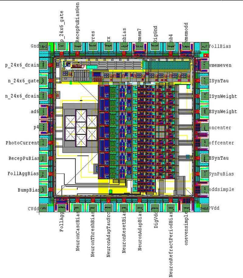 Layout of PhysioFriend chip